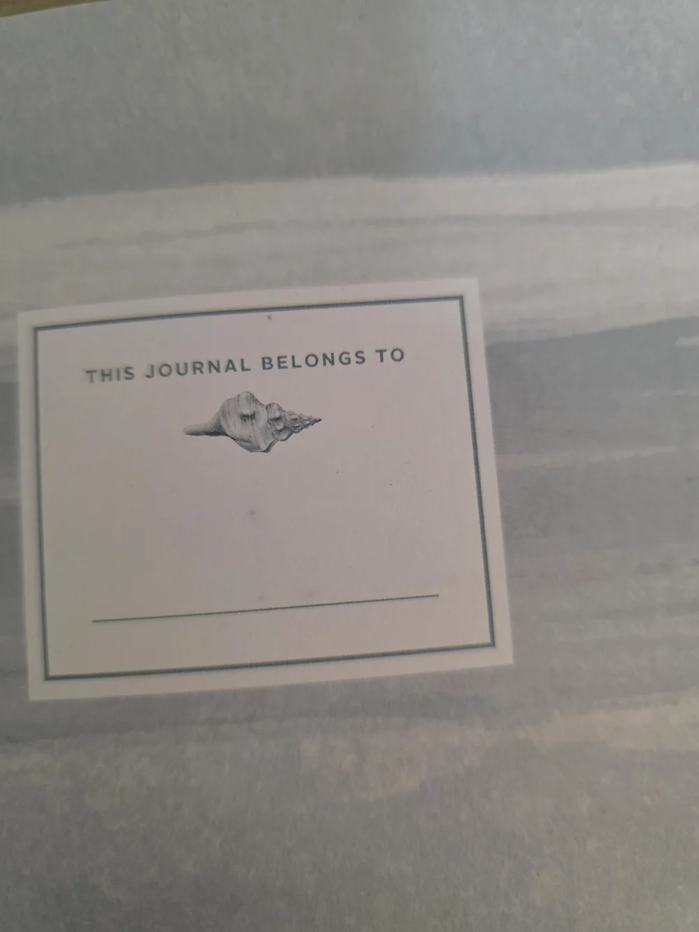 Shell & Sea Life Journal With Vinyl Cover